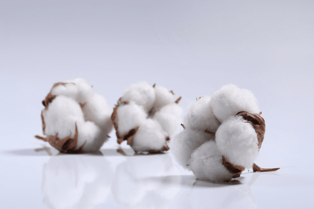Cotton